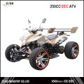 250cc Street Legal ECV Racing Quad ATV con 12 pulgadas / 14 pulgadas de rueda de aleación de agua refrigerada